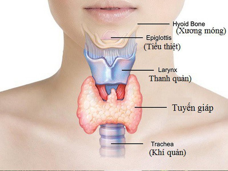 Phẫu thuật điều trị ung thư tuyến giáp